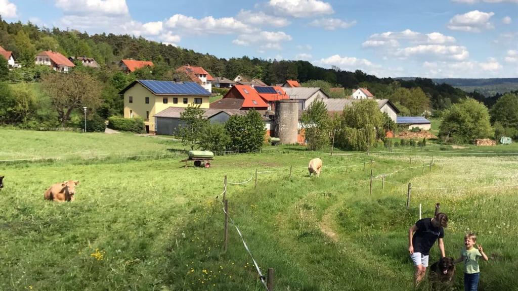 Ferienwohnungen Elsbacher Hof Erbach  Eksteriør bilde